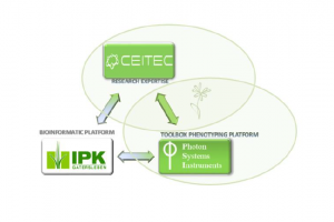 Schematic depiction of institutional collaboration in frame of SINGING PLANT project.